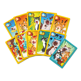 Sweet & Spicy - Bards & Cards