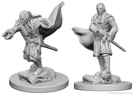 Dungeons & Dragons Nolzur's Marvelous Unpainted Miniatures: W01 Vampires - Bards & Cards