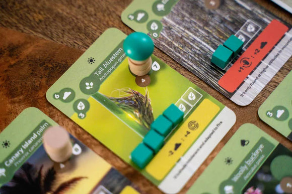 Earth - Bards & Cards