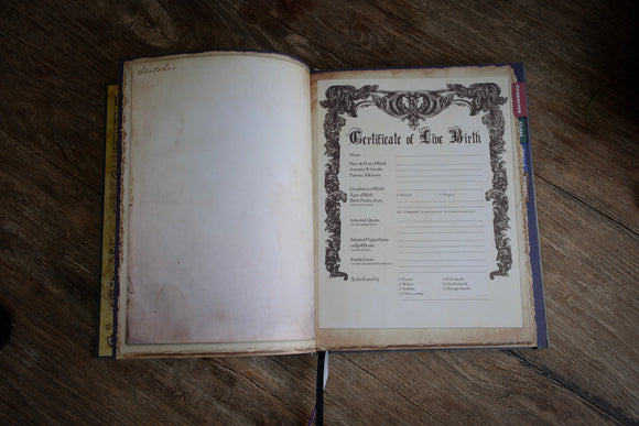 Pathfinder 2E Complete Fighter Chronicle - Bards & Cards