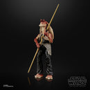 Star Wars: The Black Series - Jar Jar Binks (The Phantom Menace) 6-Inch Deluxe Action Figure - Bards & Cards