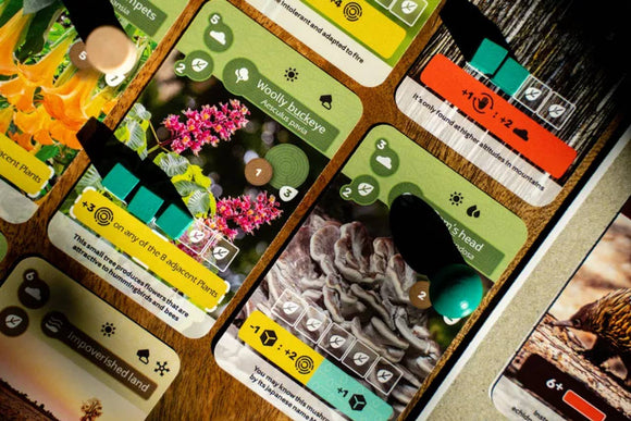 Earth - Bards & Cards