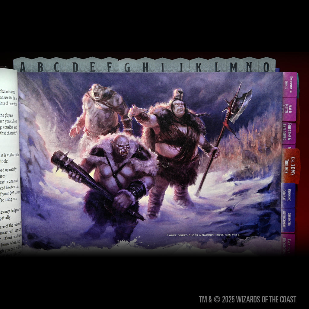 Dungeons & Dragons Book Tabs: Dungeon Master's Guide 2024