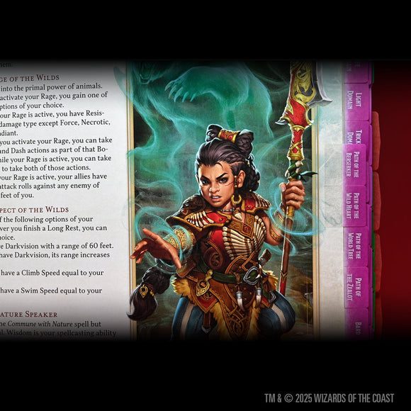 Dungeons & Dragons Book Tabs: Players Handbook 2024 - Bards & Cards