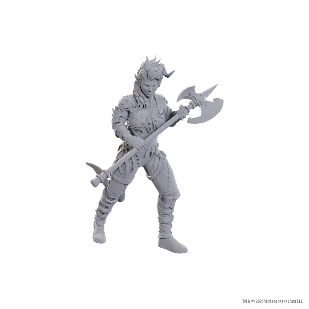 D&D Nolzur's Marvelous Miniatures: Special Edition Baldur's Gate 3 — Wyll & Karlach - Bards & Cards