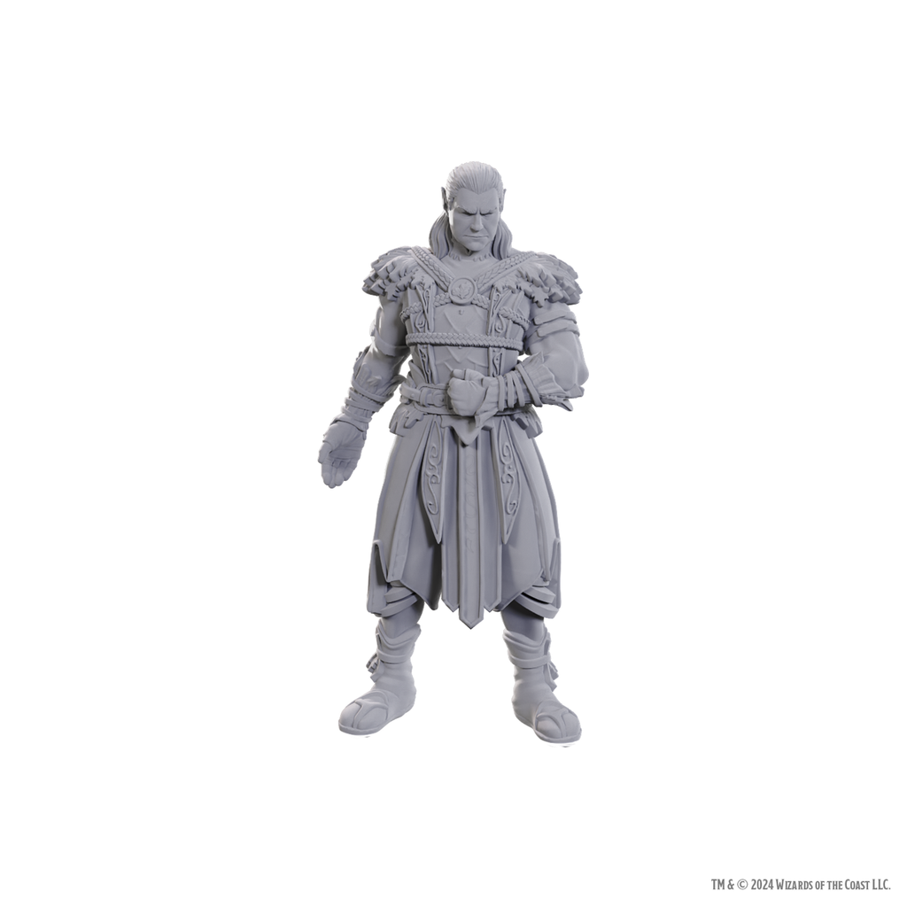D&D Nolzur's Marvelous Miniatures: Special Edition Baldur's Gate 3 — Jaheira & Halsin - Bards & Cards