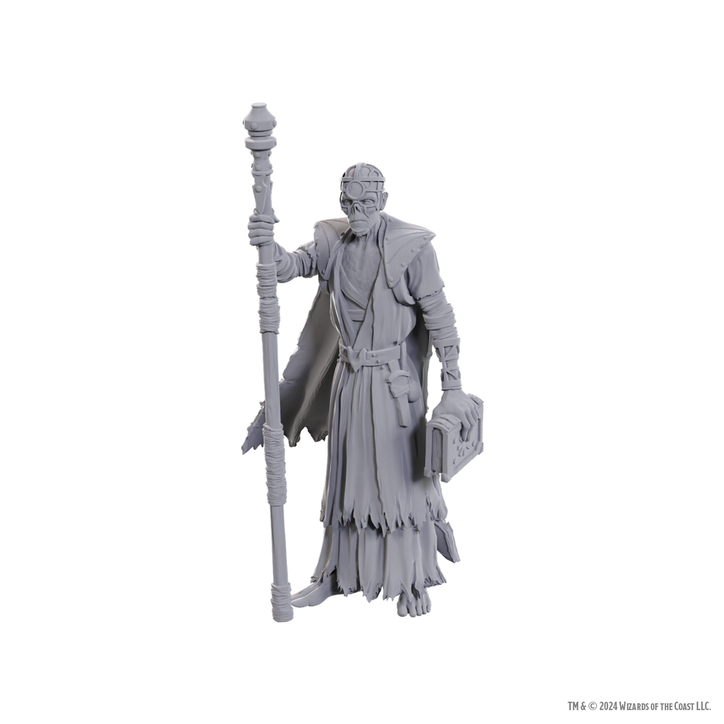 D&D Nolzur's Marvelous Miniatures: Special Edition Baldur's Gate 3 — Volo & Withers - Bards & Cards