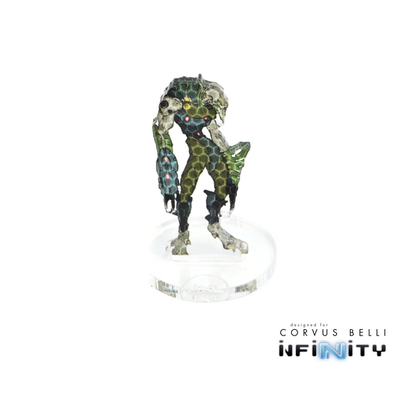 Infinity 3D Markers - Bards & Cards
