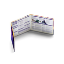 Daggerheart RPG: Limited Edition Deluxe Core Set - Bards & Cards