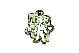 Fallout - S.P.E.C.I.A.L. AR Pin - 0