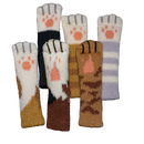 Fish & Katz - Bards & Cards