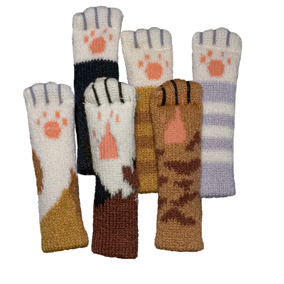 Fish & Katz - Bards & Cards