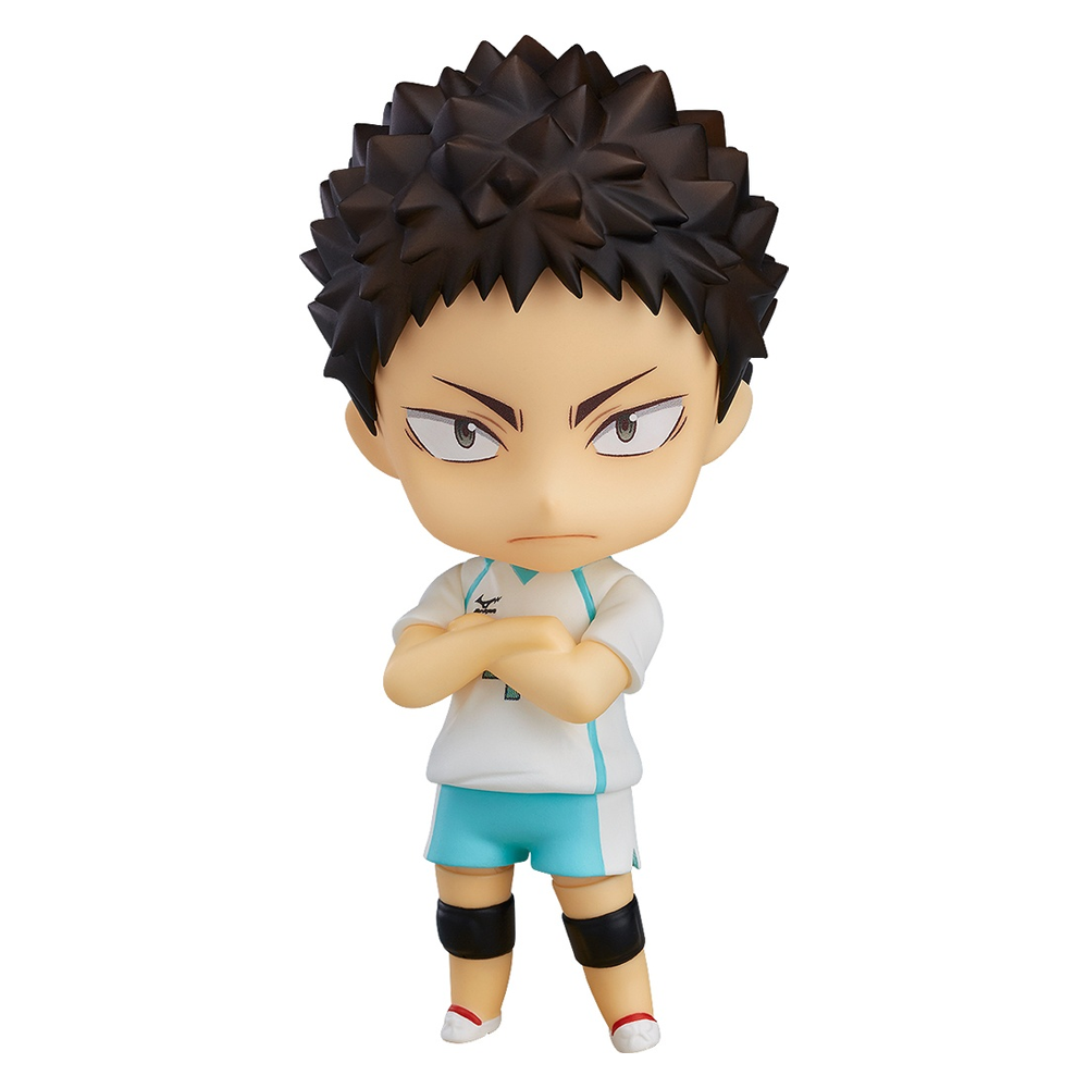 Nendoroid: Haikyuu!! - Hajime Iwaizumi #699