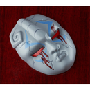 Good Smile Company: Nendoroid: JoJo's Bizarre Adventure - Dio Brando #1624 - Bards & Cards