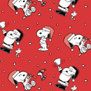 Loungefly: Peanuts Gift Giving Snoopy and Woodstock Mini Backpack - Bards & Cards