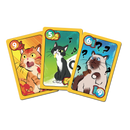 Sweet & Spicy - Bards & Cards