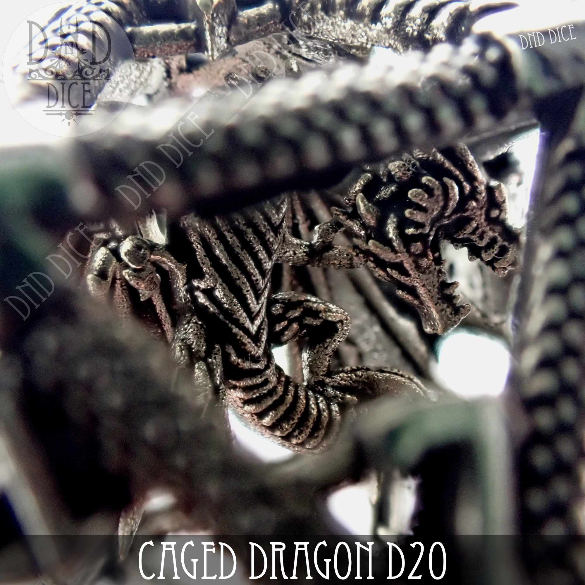 Caged Dragon D20 (6 Colors) - Bards & Cards