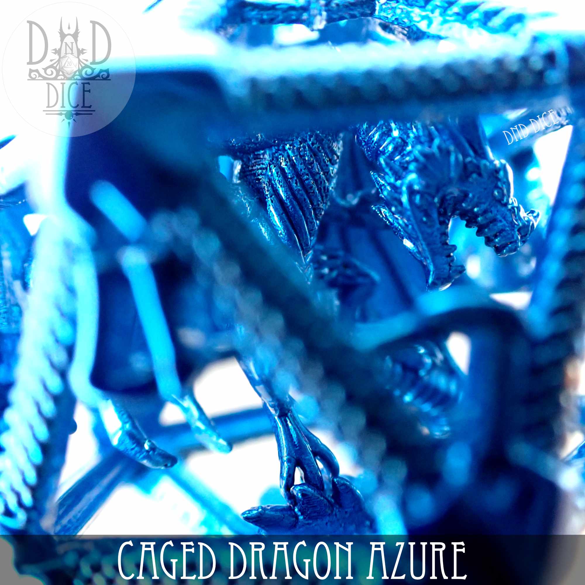 Caged Dragon D20 (6 Colors) - Bards & Cards