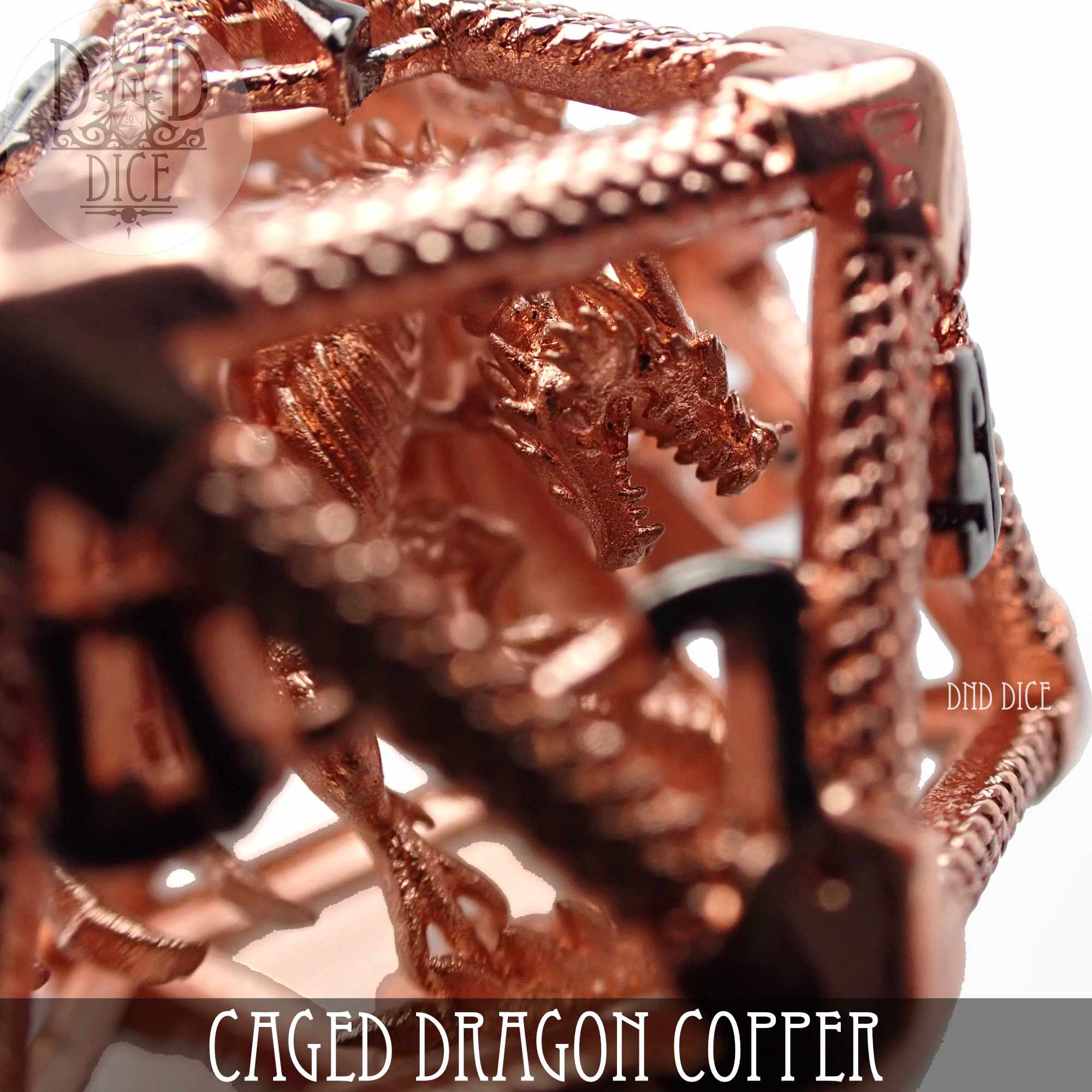 Caged Dragon D20 (6 Colors) - Bards & Cards