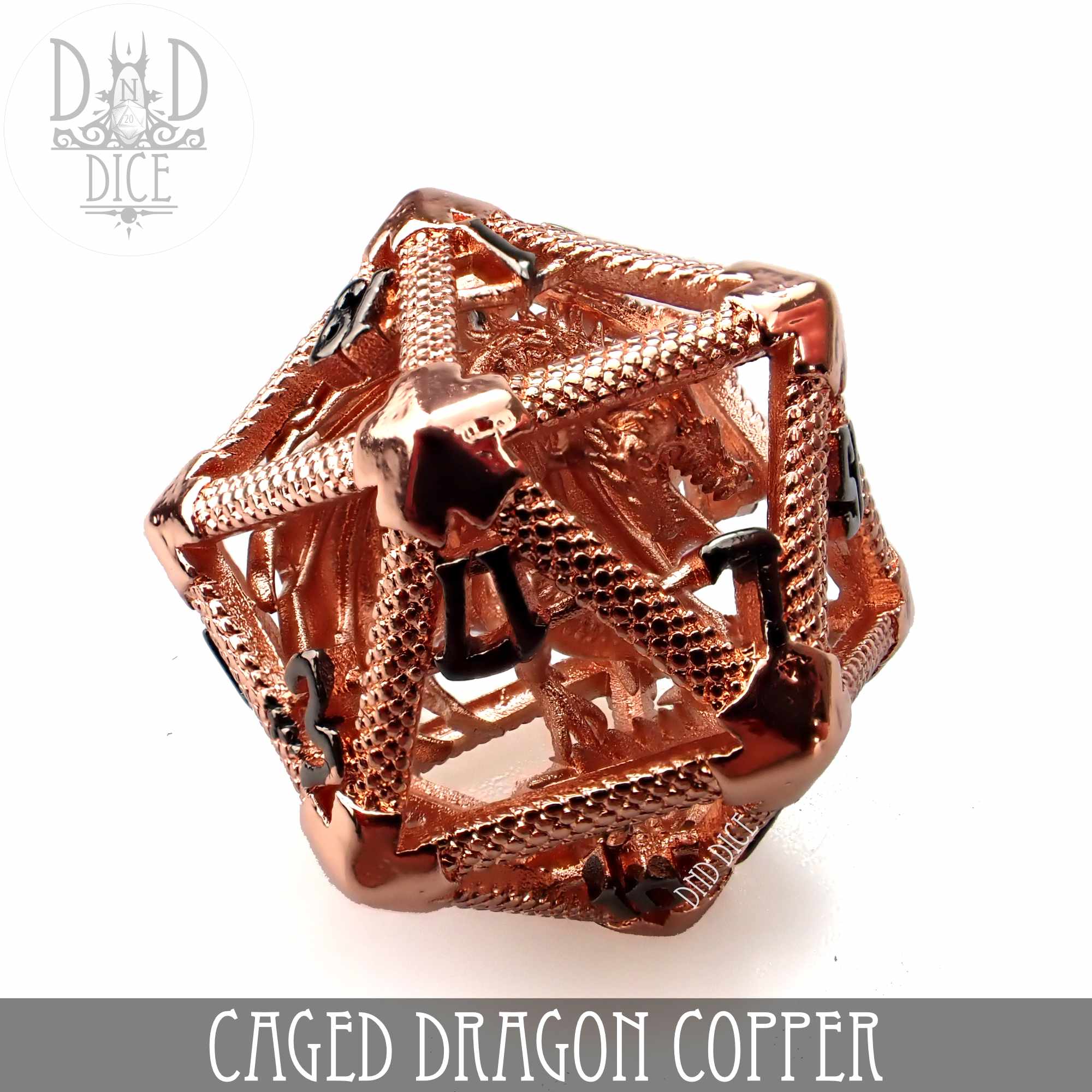 Caged Dragon D20 (6 Colors) - Bards & Cards