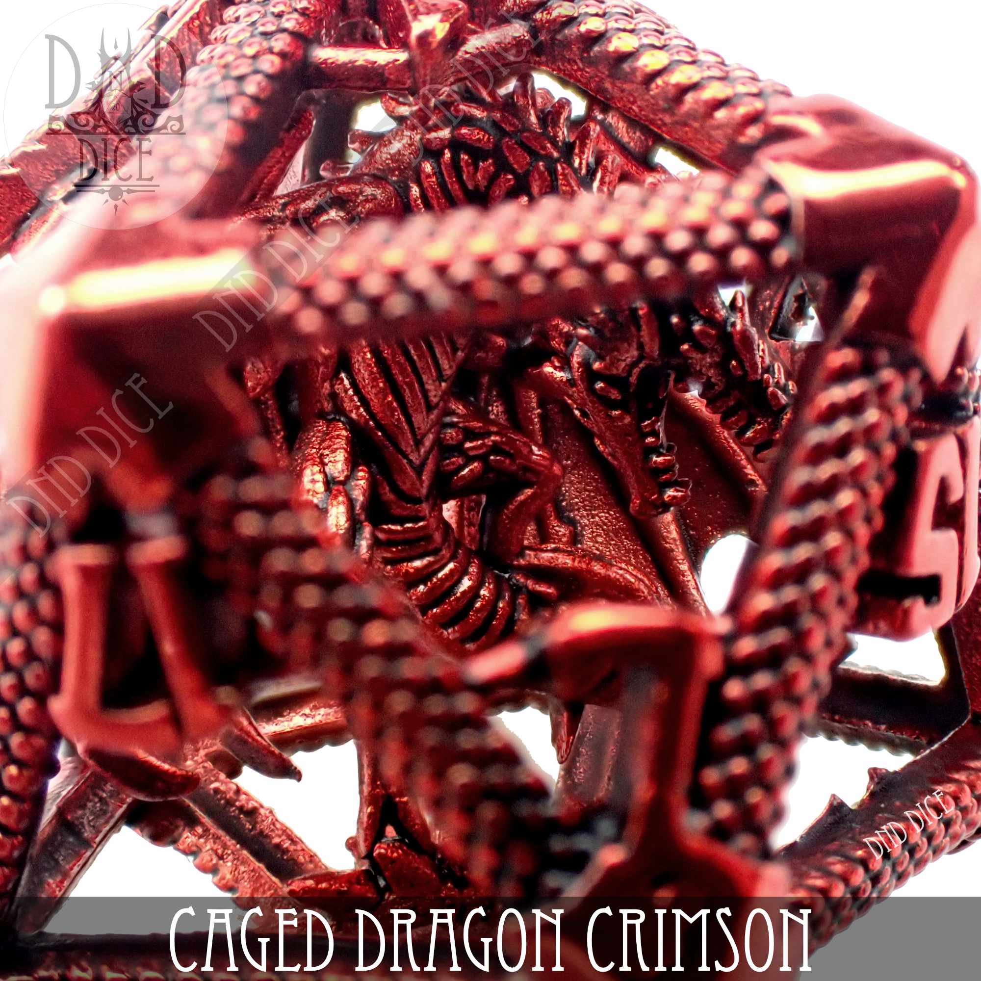 Caged Dragon D20 (6 Colors) - Bards & Cards