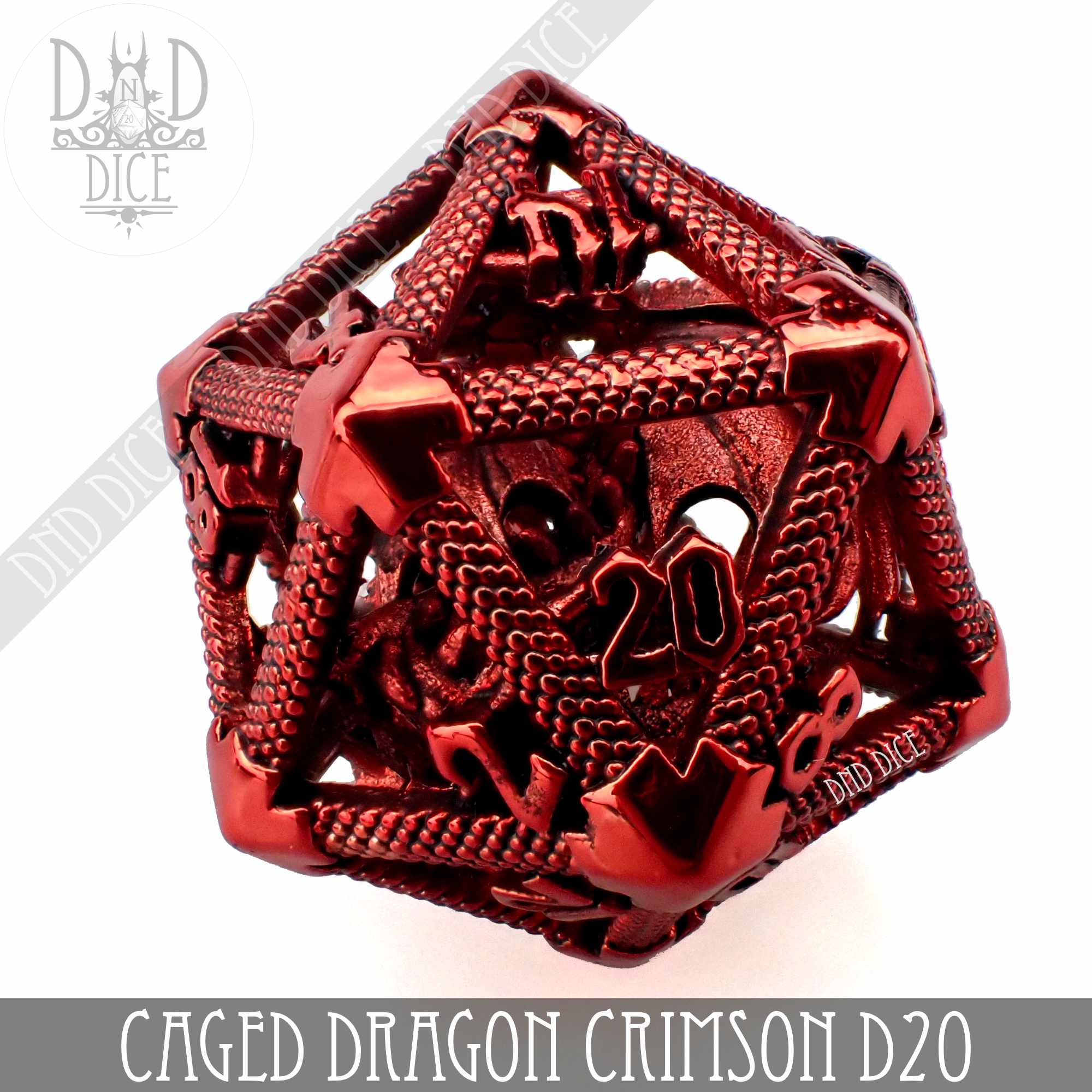 Caged Dragon D20 (6 Colors) - Bards & Cards