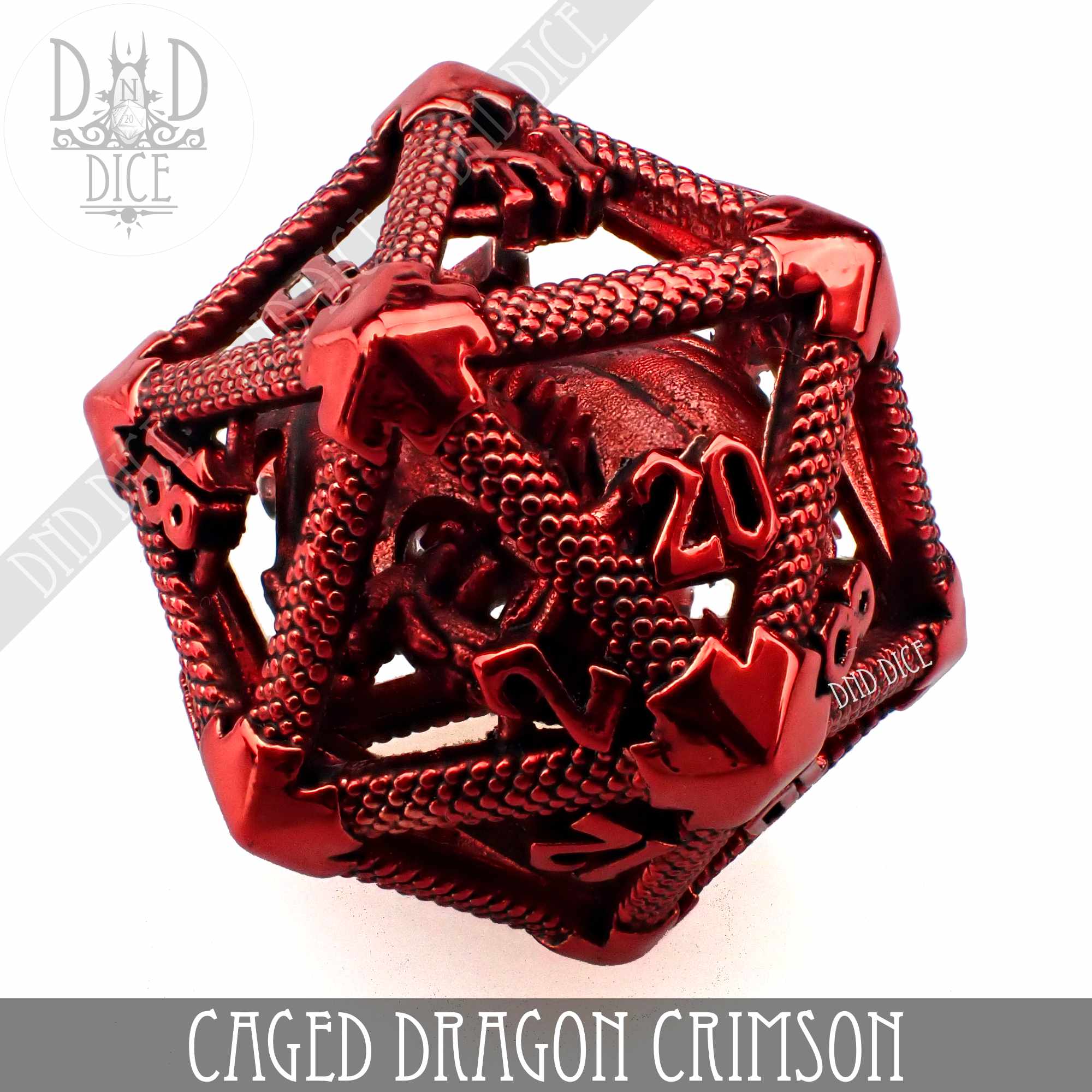 Caged Dragon D20 (6 Colors) - Bards & Cards