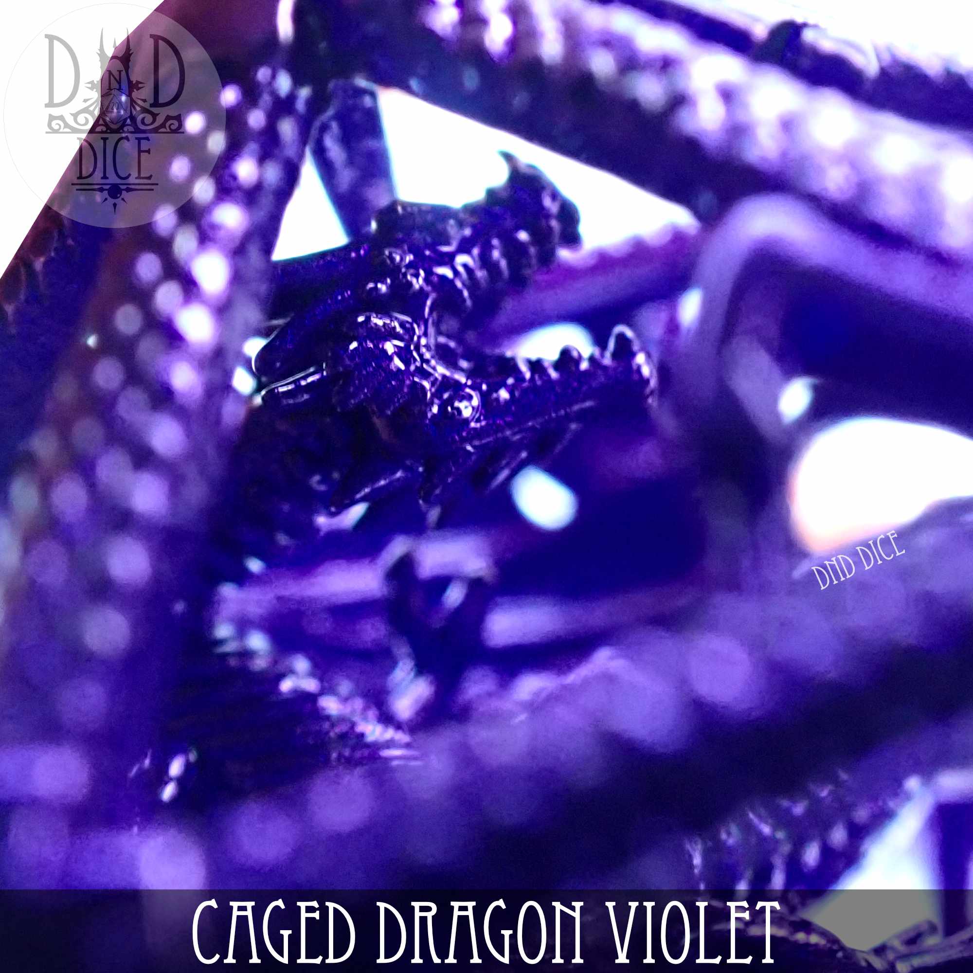 Caged Dragon D20 (6 Colors) - Bards & Cards