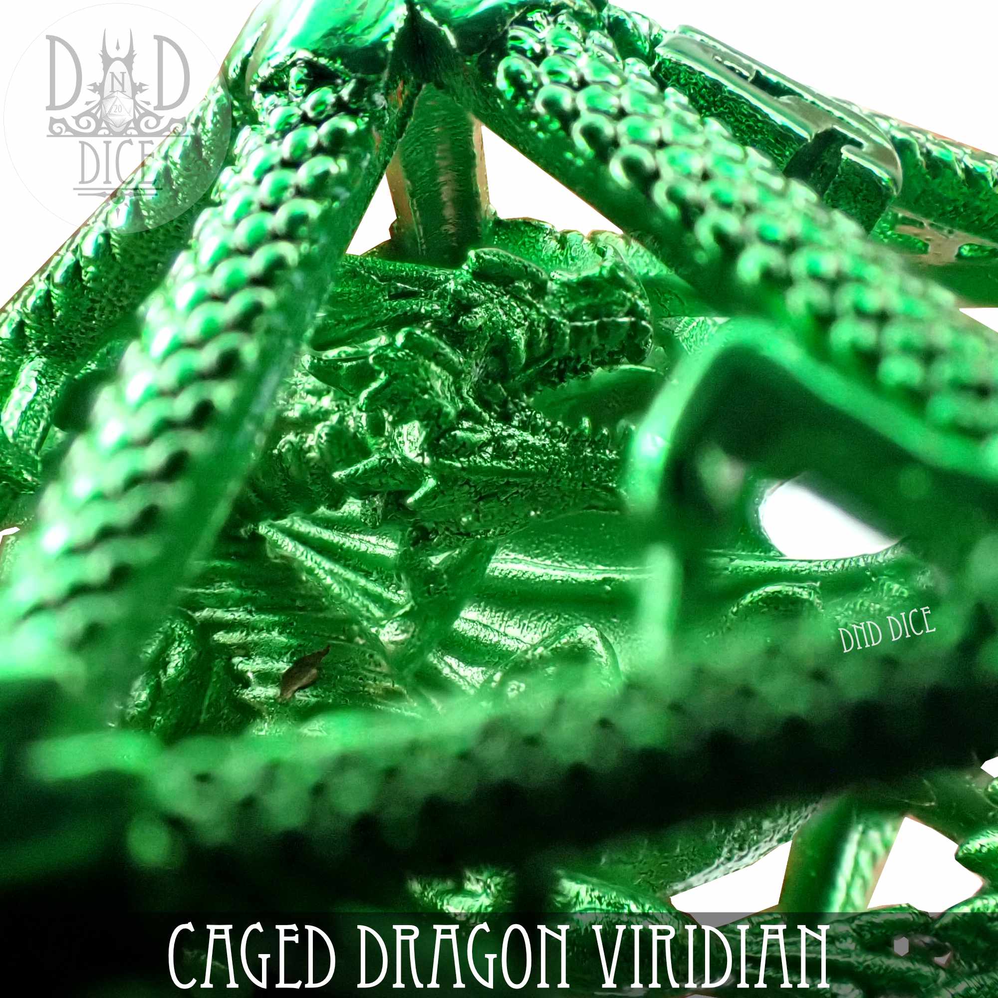 Caged Dragon D20 (6 Colors) - Bards & Cards