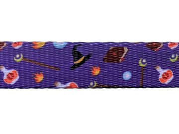 Wizard - Dog Collar - Bards & Cards