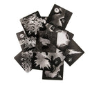 Black Mold [Pre-Order] - Bards & Cards