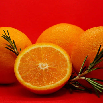 Cantrip Candles - Greater Healing Potion 16oz Candle - 0