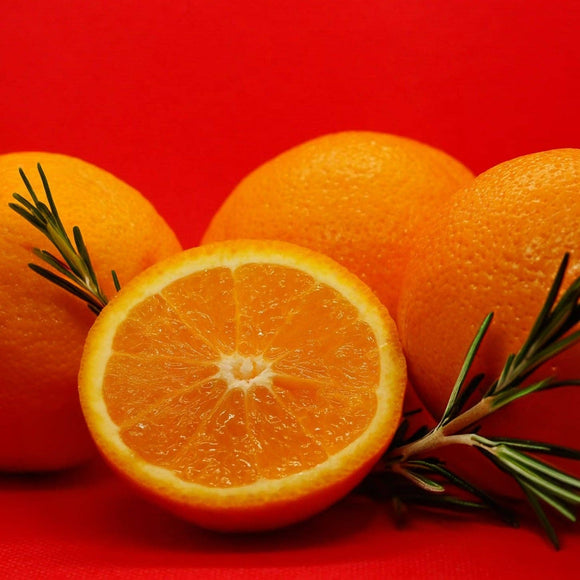 Cantrip Candles - Greater Healing Potion 16oz Candle