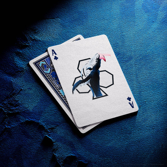 Avatar Playing Cards - Bards & Cards