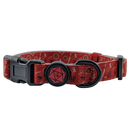 Barbarian -  Dog Collar-1