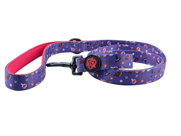 Wizard - Dog Leash - Bards & Cards