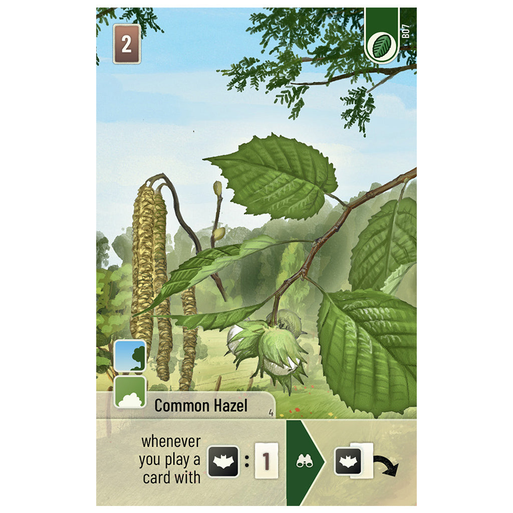 Forest Shuffle: Woodland Edge Expansion