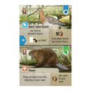 Forest Shuffle: Dartmoor - Bards & Cards