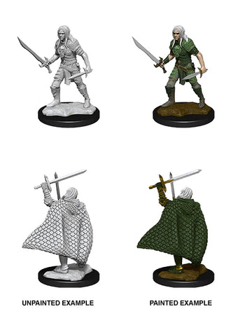 Pathfinder Deep Cuts Unpainted Miniatures: W01 Elf Male Fighter - Bards & Cards