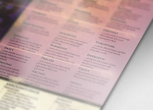 Conflict Games Writer's & GM's Screen - Bards & Cards