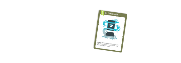 Runes & Regulations - Bards & Cards