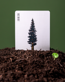 Art of Play - Smokey Bear Playing Cards - Bards & Cards