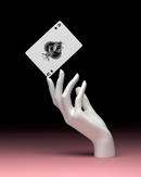 Art of Play - The Lepidopterist Playing Cards - Bards & Cards