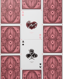 Art of Play - The Lepidopterist Playing Cards - Bards & Cards