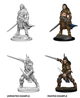 Pathfinder Deep Cuts Unpainted Miniatures: W01 Human Fighter Male - Bards & Cards