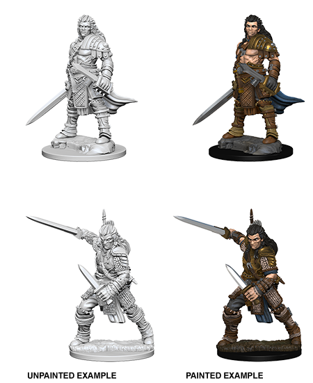 Pathfinder Deep Cuts Unpainted Miniatures: W01 Human Fighter Male - Bards & Cards