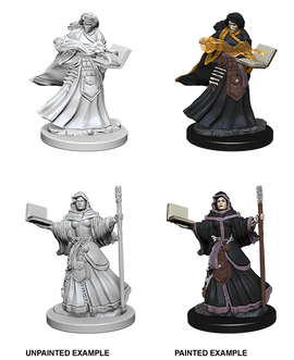 Dungeons & Dragons Nolzur`s Marvelous Unpainted Miniatures: W01 Human Female Wizard - Bards & Cards