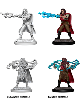 Dungeons & Dragons Nolzur's Marvelous Unpainted Miniatures: W01 Human Sorcerer Male - Bards & Cards