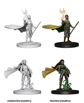 Dungeons & Dragons Nolzur`s Marvelous Unpainted Miniatures: W04 Elf Female Druid - Bards & Cards
