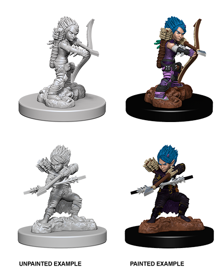 Pathfinder Deep Cuts Unpainted Miniatures: W06 Gnome Rogue Female - Bards & Cards
